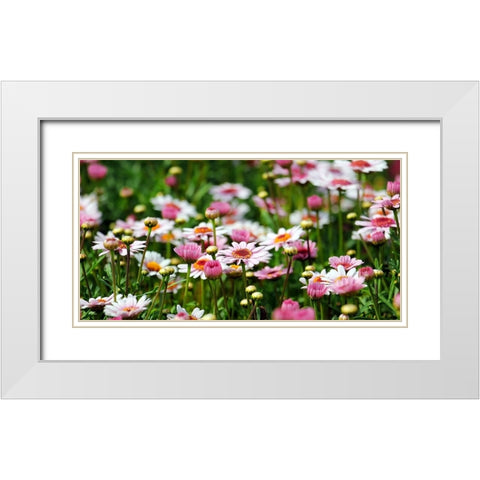 Flower 48 White Modern Wood Framed Art Print with Double Matting by Lee, Rachel