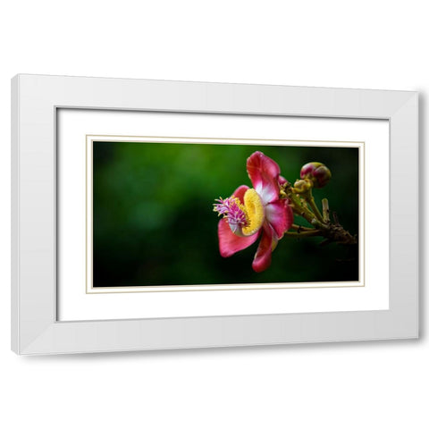 Flower 5 White Modern Wood Framed Art Print with Double Matting by Lee, Rachel