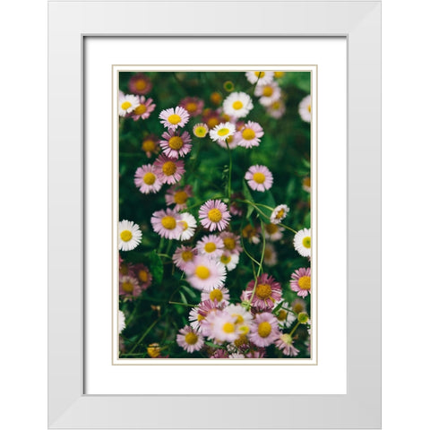 Flower 53 White Modern Wood Framed Art Print with Double Matting by Lee, Rachel