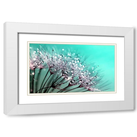 Flower 55 White Modern Wood Framed Art Print with Double Matting by Lee, Rachel