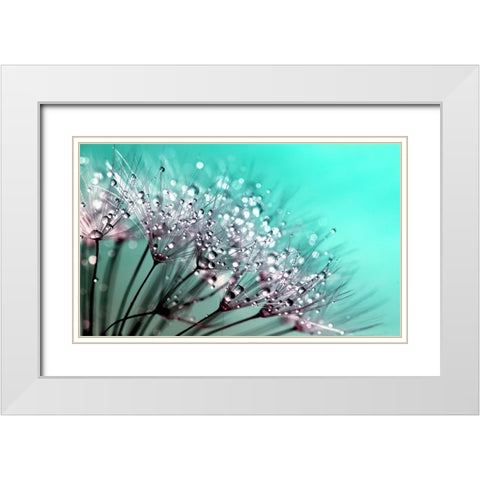 Flower 55 White Modern Wood Framed Art Print with Double Matting by Lee, Rachel