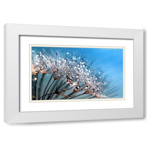 Flower 55 Custom Blue White Modern Wood Framed Art Print with Double Matting by Lee, Rachel