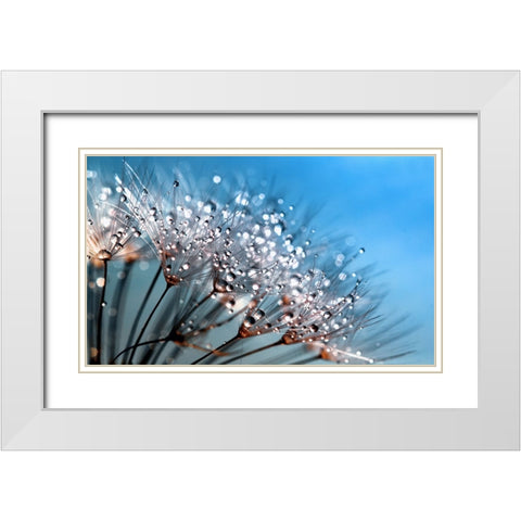 Flower 55 Custom Blue White Modern Wood Framed Art Print with Double Matting by Lee, Rachel