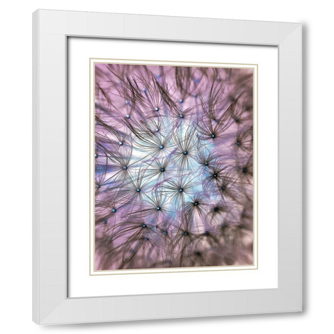 Flower 58 White Modern Wood Framed Art Print with Double Matting by Lee, Rachel