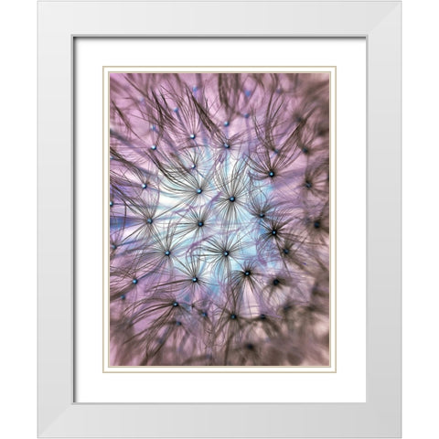 Flower 58 White Modern Wood Framed Art Print with Double Matting by Lee, Rachel