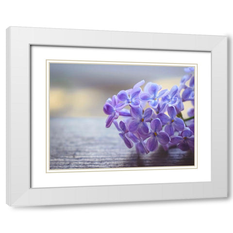 Flower 63 White Modern Wood Framed Art Print with Double Matting by Lee, Rachel