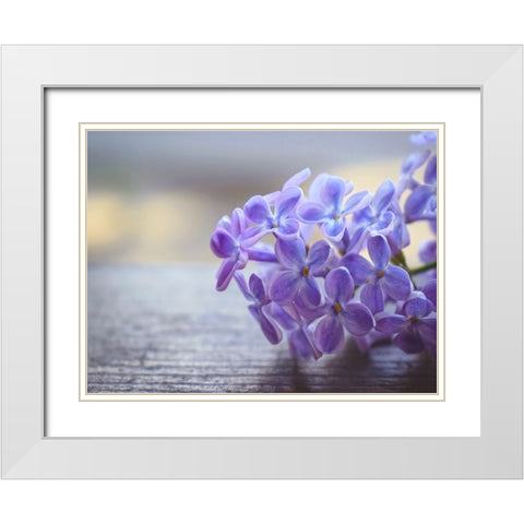 Flower 63 White Modern Wood Framed Art Print with Double Matting by Lee, Rachel