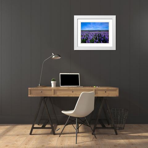 Flower 64 White Modern Wood Framed Art Print with Double Matting by Lee, Rachel