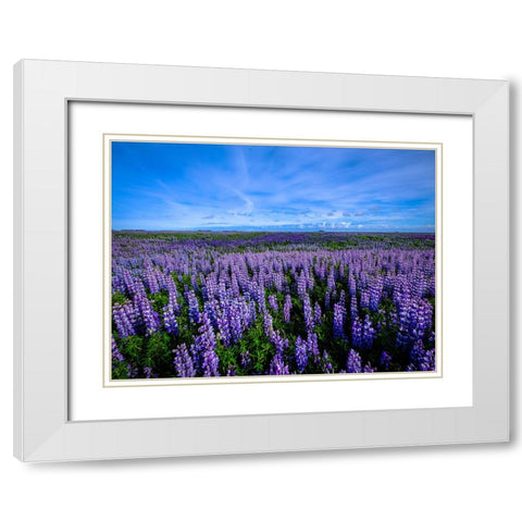 Flower 64 White Modern Wood Framed Art Print with Double Matting by Lee, Rachel