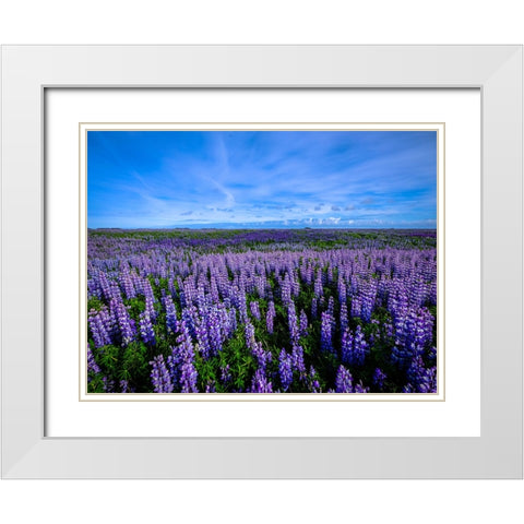 Flower 64 White Modern Wood Framed Art Print with Double Matting by Lee, Rachel