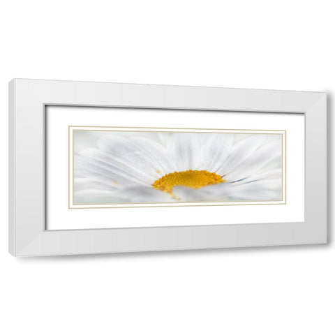 Flower 68 White Modern Wood Framed Art Print with Double Matting by Lee, Rachel
