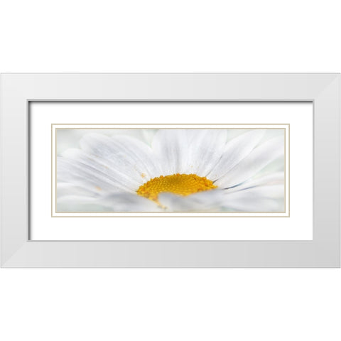 Flower 68 White Modern Wood Framed Art Print with Double Matting by Lee, Rachel