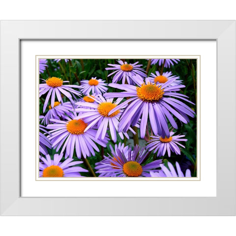 Flower 69 White Modern Wood Framed Art Print with Double Matting by Lee, Rachel