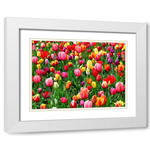 Flower 73 White Modern Wood Framed Art Print with Double Matting by Lee, Rachel