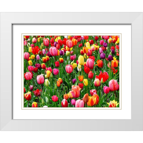 Flower 73 White Modern Wood Framed Art Print with Double Matting by Lee, Rachel
