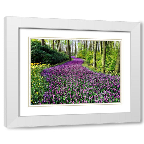 Flower 75 White Modern Wood Framed Art Print with Double Matting by Lee, Rachel