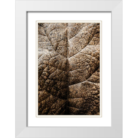 Foliage Textured 1 White Modern Wood Framed Art Print with Double Matting by Lee, Rachel