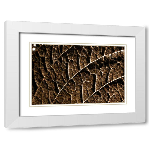 Foliage Textured 3 White Modern Wood Framed Art Print with Double Matting by Lee, Rachel