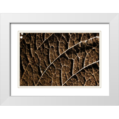 Foliage Textured 3 White Modern Wood Framed Art Print with Double Matting by Lee, Rachel