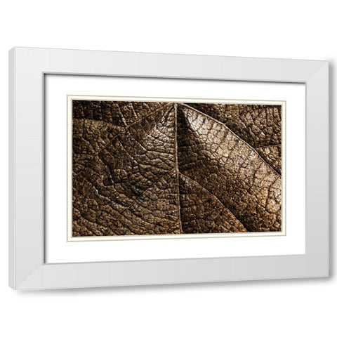 Foliage Textured 5 White Modern Wood Framed Art Print with Double Matting by Lee, Rachel