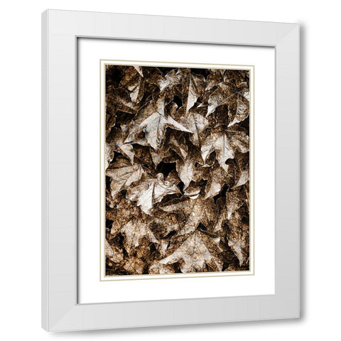 Foliage Textured 6 White Modern Wood Framed Art Print with Double Matting by Lee, Rachel