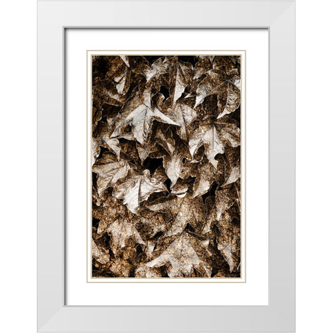 Foliage Textured 6 White Modern Wood Framed Art Print with Double Matting by Lee, Rachel