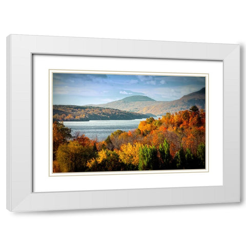 Forest Lake White Modern Wood Framed Art Print with Double Matting by Lee, Rachel