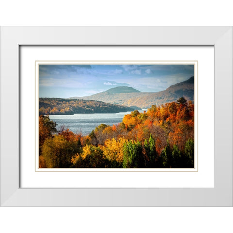 Forest Lake White Modern Wood Framed Art Print with Double Matting by Lee, Rachel