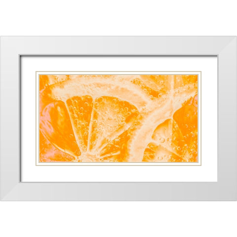 Fruit 1 White Modern Wood Framed Art Print with Double Matting by Lee, Rachel