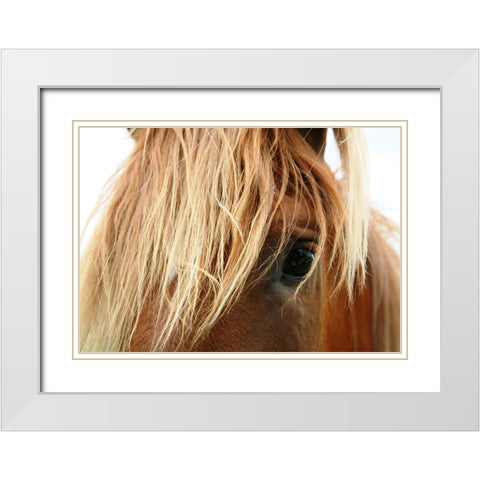 Horse 5 White Modern Wood Framed Art Print with Double Matting by Lee, Rachel