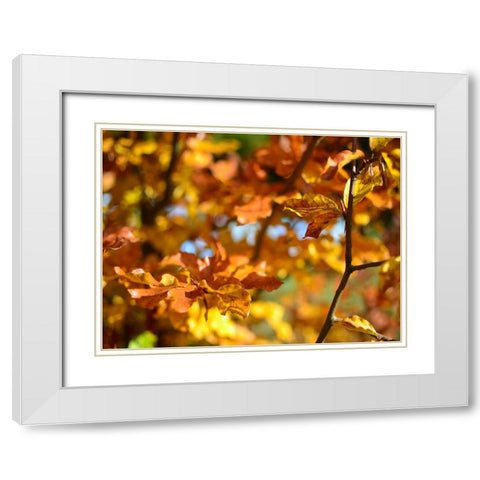 Leaves 15 White Modern Wood Framed Art Print with Double Matting by Lee, Rachel