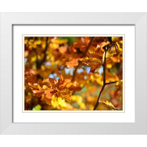 Leaves 15 White Modern Wood Framed Art Print with Double Matting by Lee, Rachel