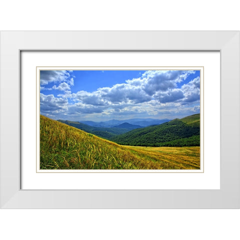 Mountain View 10 White Modern Wood Framed Art Print with Double Matting by Lee, Rachel