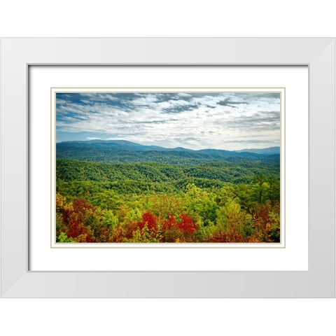 Mountain View 23 White Modern Wood Framed Art Print with Double Matting by Lee, Rachel