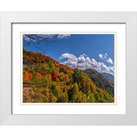 NC Fall Mountains 6 White Modern Wood Framed Art Print with Double Matting by Lee, Rachel