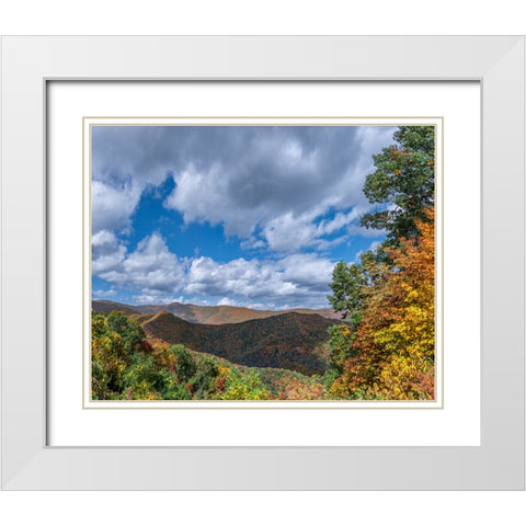 NC Fall Mountains 7 White Modern Wood Framed Art Print with Double Matting by Lee, Rachel