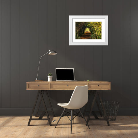 Pathway White Modern Wood Framed Art Print with Double Matting by Lee, Rachel