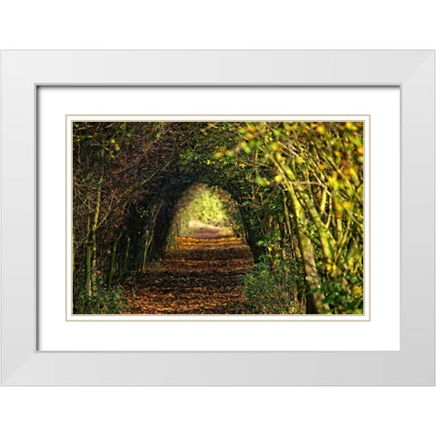 Pathway White Modern Wood Framed Art Print with Double Matting by Lee, Rachel