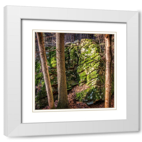 Rocks 4 White Modern Wood Framed Art Print with Double Matting by Lee, Rachel