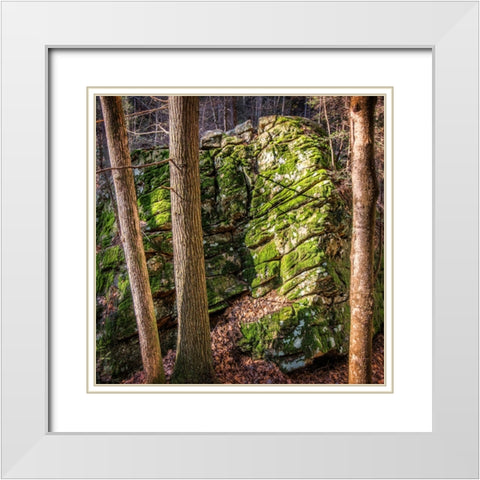 Rocks 4 White Modern Wood Framed Art Print with Double Matting by Lee, Rachel