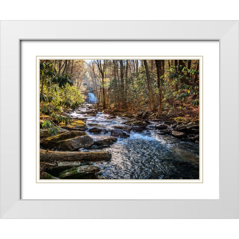 Stinging Fork Creek 1 White Modern Wood Framed Art Print with Double Matting by Lee, Rachel