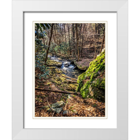 Stinging Fork Creek 6 White Modern Wood Framed Art Print with Double Matting by Lee, Rachel