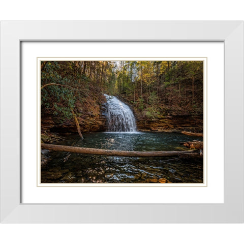 Stinging Fork Falls 1 White Modern Wood Framed Art Print with Double Matting by Lee, Rachel