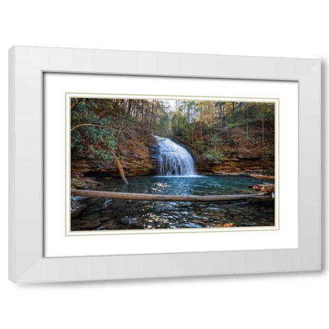 Stinging Fork Falls 2 White Modern Wood Framed Art Print with Double Matting by Lee, Rachel