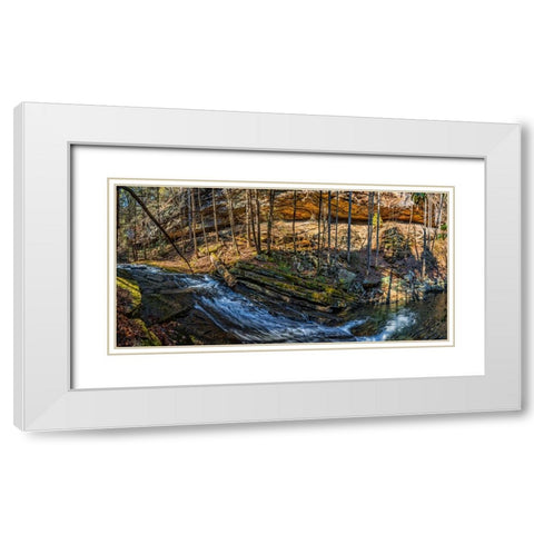Stinging Fork Slide 1 White Modern Wood Framed Art Print with Double Matting by Lee, Rachel