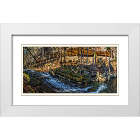 Stinging Fork Slide 1 White Modern Wood Framed Art Print with Double Matting by Lee, Rachel