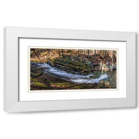 Stinging Fork Slide 2 White Modern Wood Framed Art Print with Double Matting by Lee, Rachel