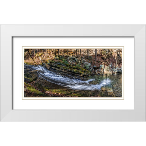 Stinging Fork Slide 2 White Modern Wood Framed Art Print with Double Matting by Lee, Rachel