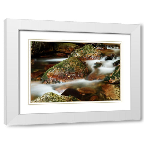 Stream 5 White Modern Wood Framed Art Print with Double Matting by Lee, Rachel