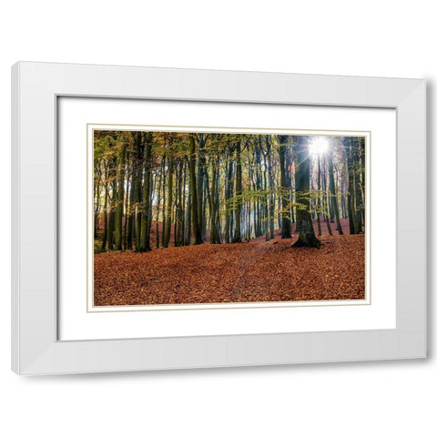 Trees 10 White Modern Wood Framed Art Print with Double Matting by Lee, Rachel